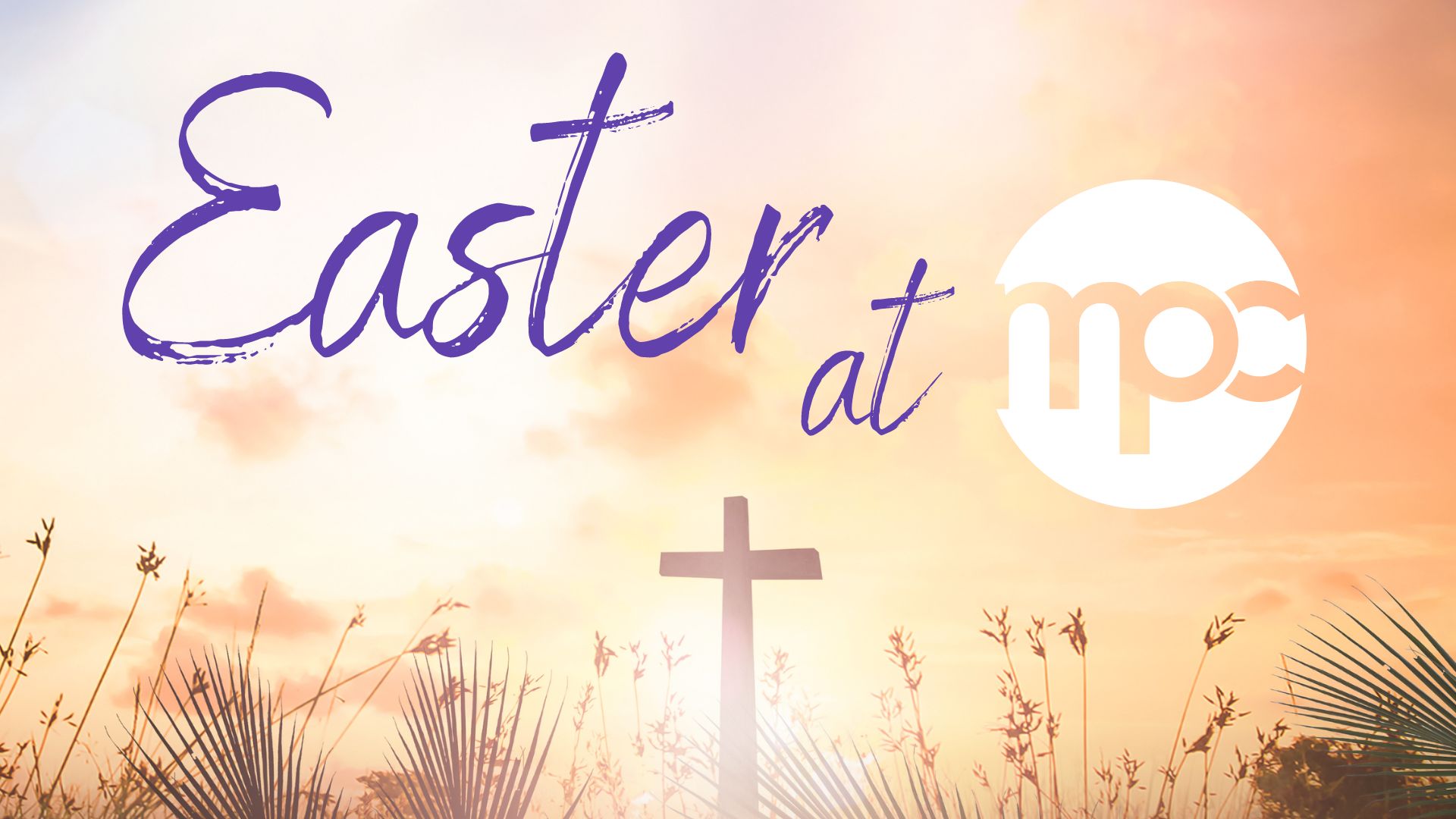 Easter at MPC

Join us for our Easter events and services.
